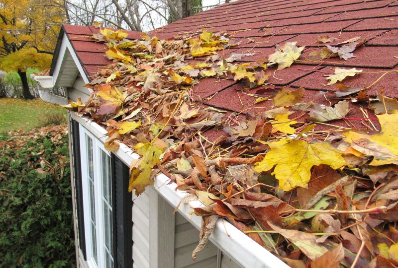 Fall Roofing Conditions